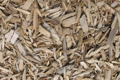 biomass boilers Armigers